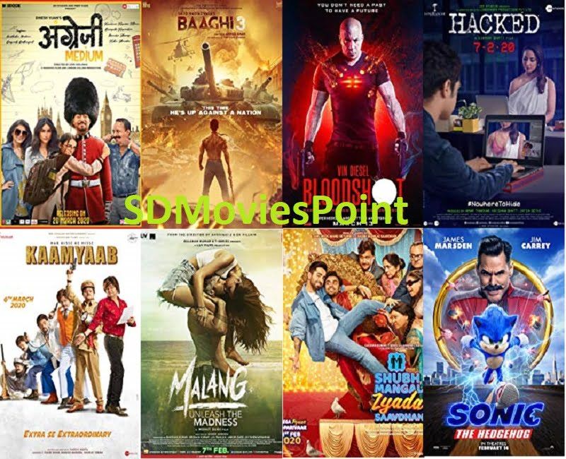 Sd Movies Point