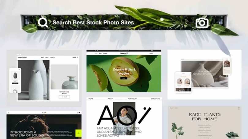 Four Best Stock Photo Websites You'll Love