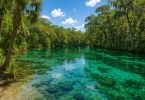 Crystal-clear Florida spring surrounded by lush greenery and natural beauty
